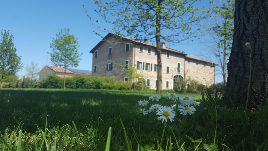 Agriturismo Il Brugnolo スカンディアーノ エクステリア 写真
