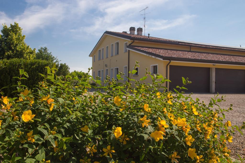 スカンディアーノ Agriturismo Il Brugnoloヴィラ エクステリア 写真