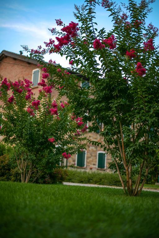 スカンディアーノ Agriturismo Il Brugnoloヴィラ エクステリア 写真